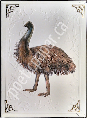 emu greeting card