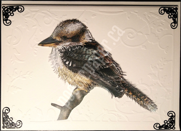 kookaburra greeting card