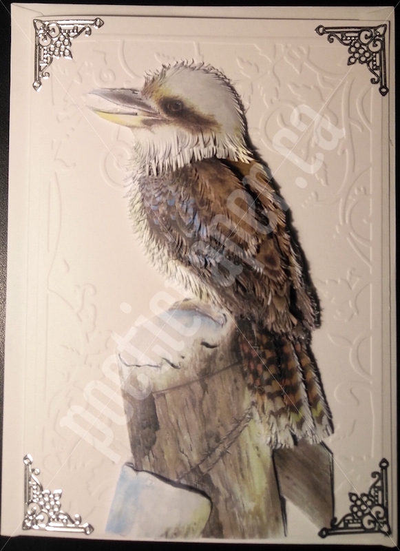 kookaburra greeting card