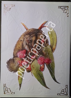 possum greeting card